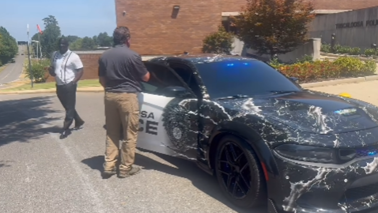 dodge police department