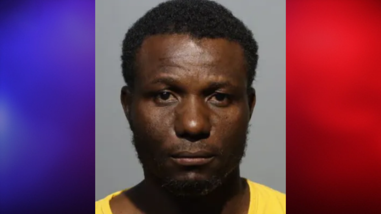 man arrested for kicking dog