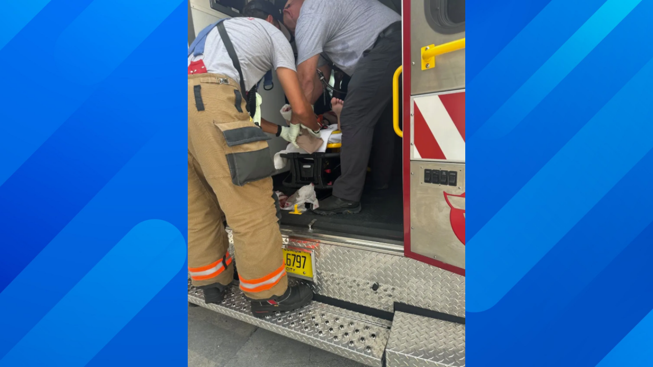 man rescued after shark attack