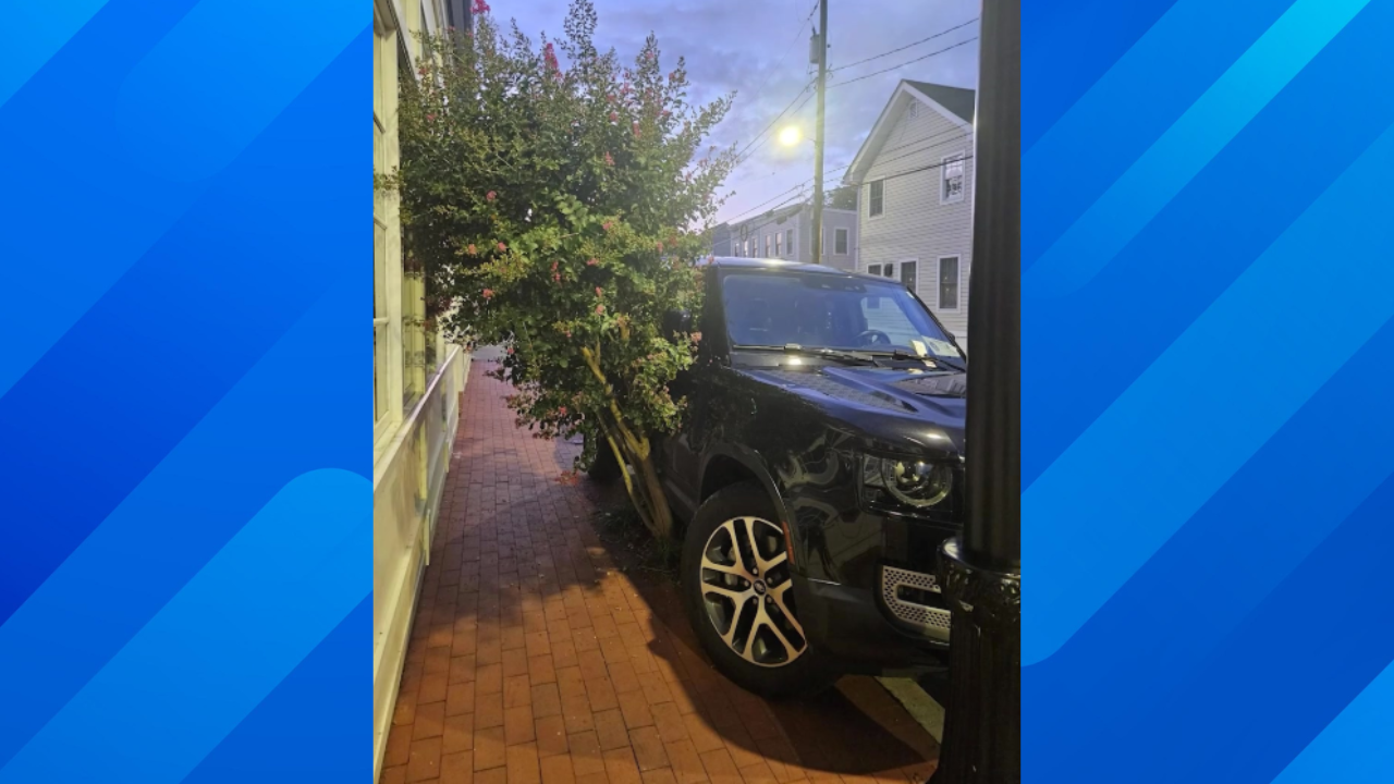 senator parks on tree