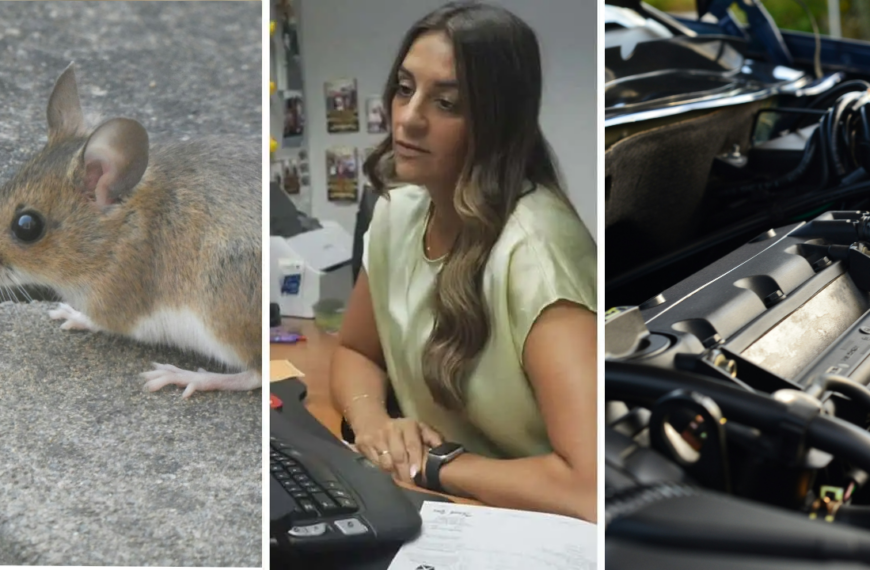 Rodent Chews Through Soy-Based Wire Insulation Causing $3,200 In Damage To Car