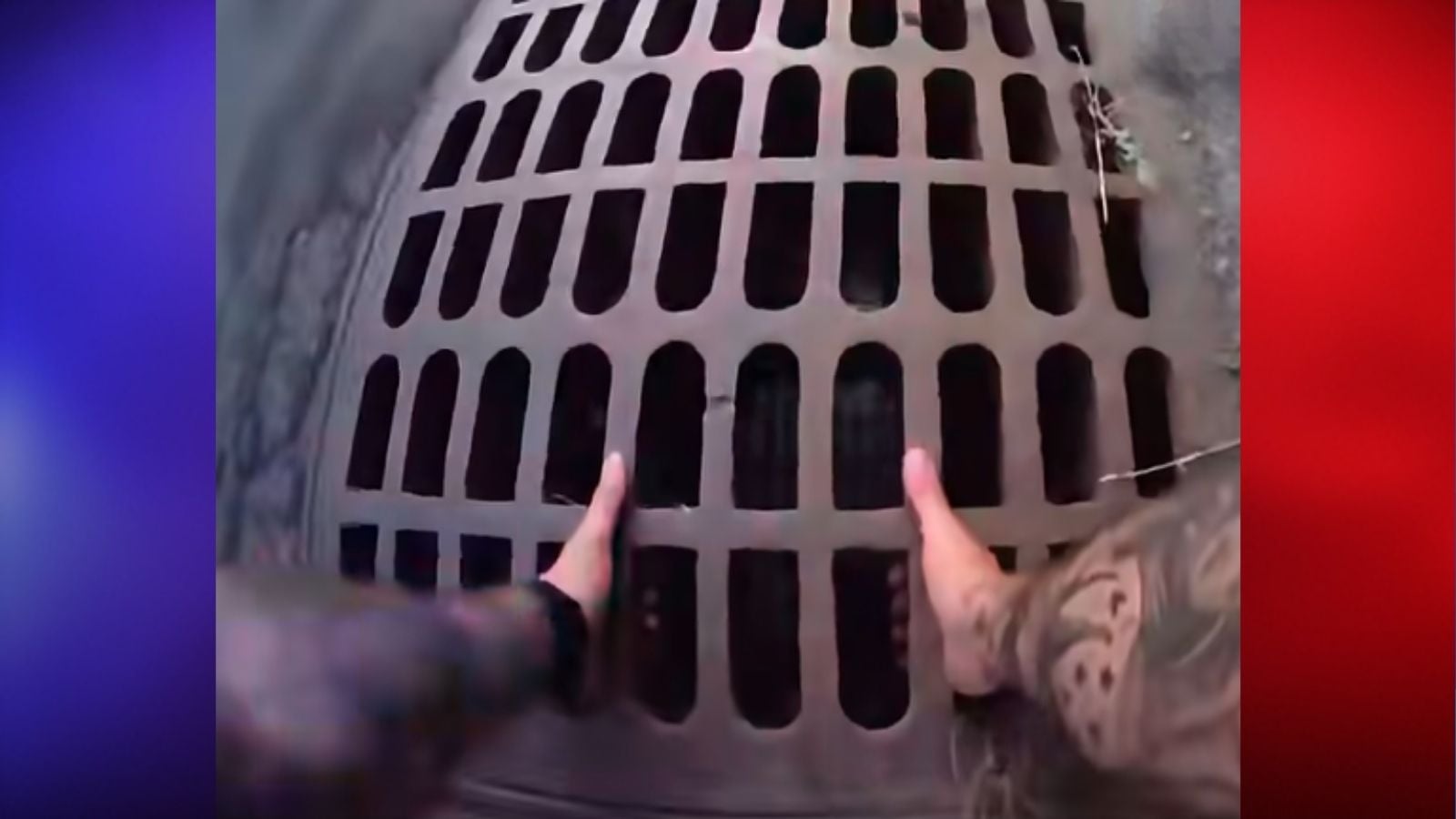 New York Officer Crawls Into 'Very Smelly' Storm Drain to Rescue Trapped Dog