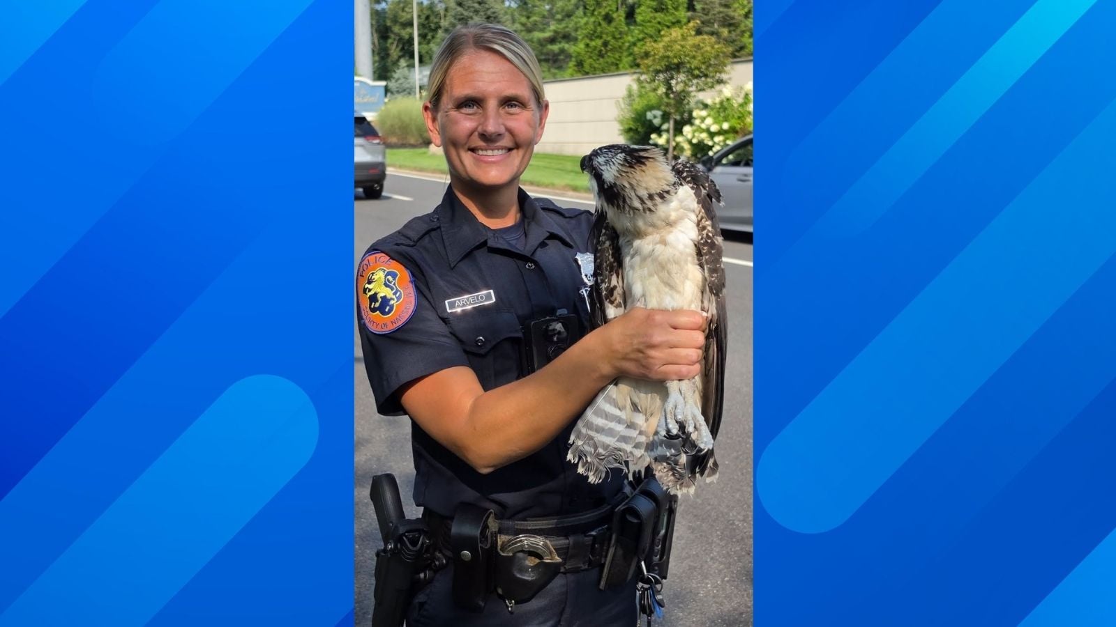 New York Police Get an Unexpected 911 Call After Young Osprey Falls From Its Nest