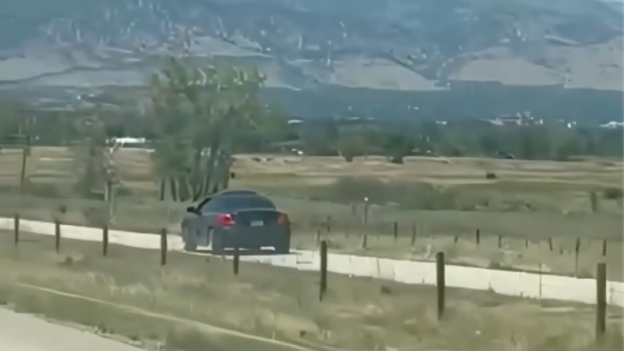 Driver in bicycle lane