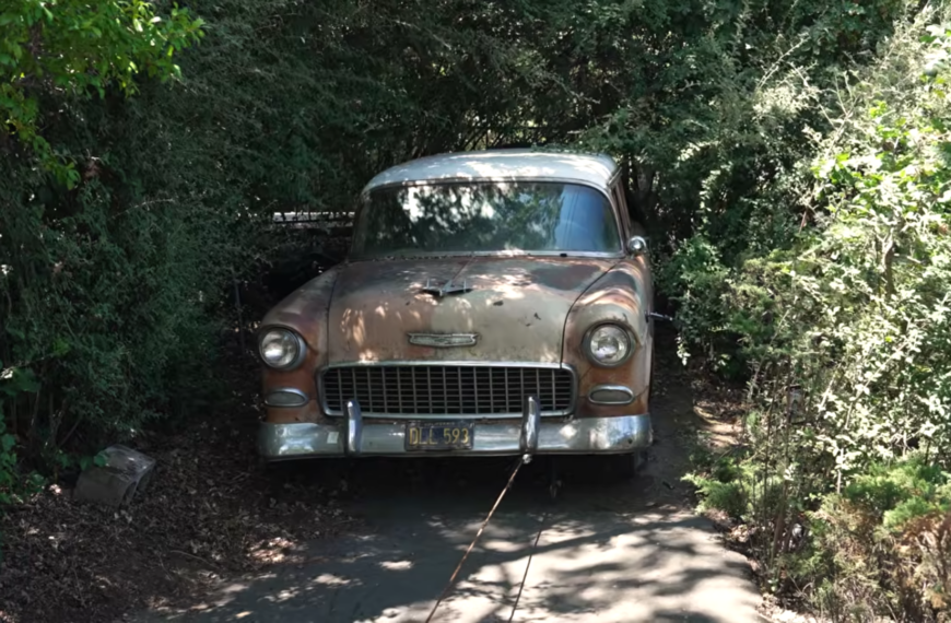 Abandoned ’55 Chevy Wagon Has Been Sitting Since 1982 — Will It Run Again?