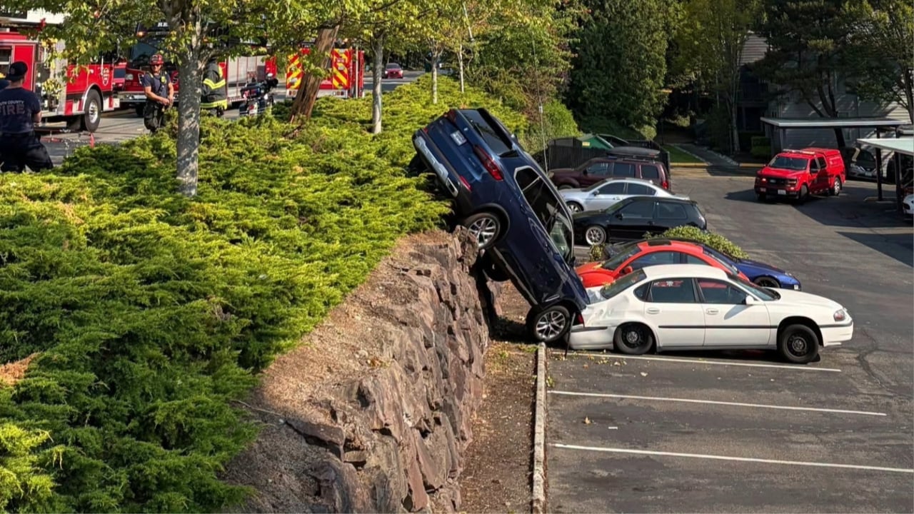 Two Escape After SUV Plunges Over Embankment