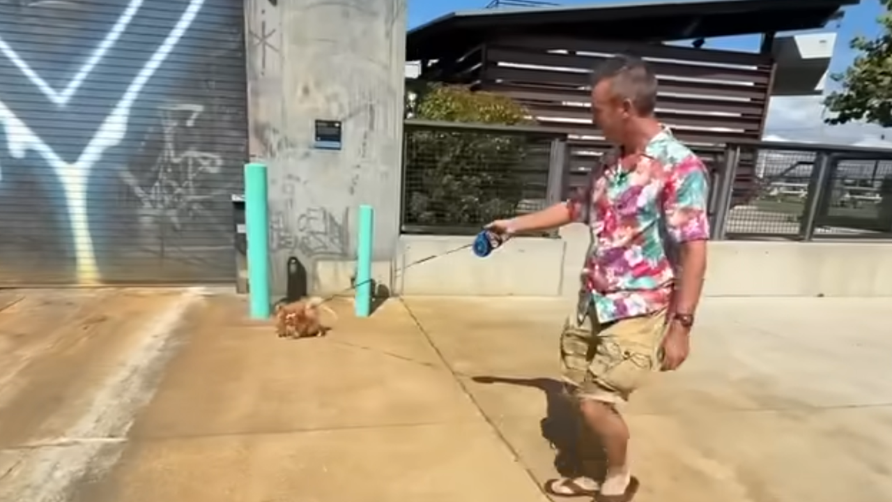 dog cruise scam in florida