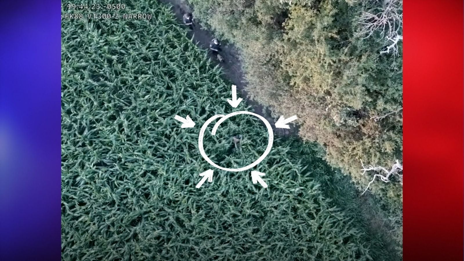 Wisconsin Man Ditches Rolling Car and Disappears Into Cornfield for 5 Hours,