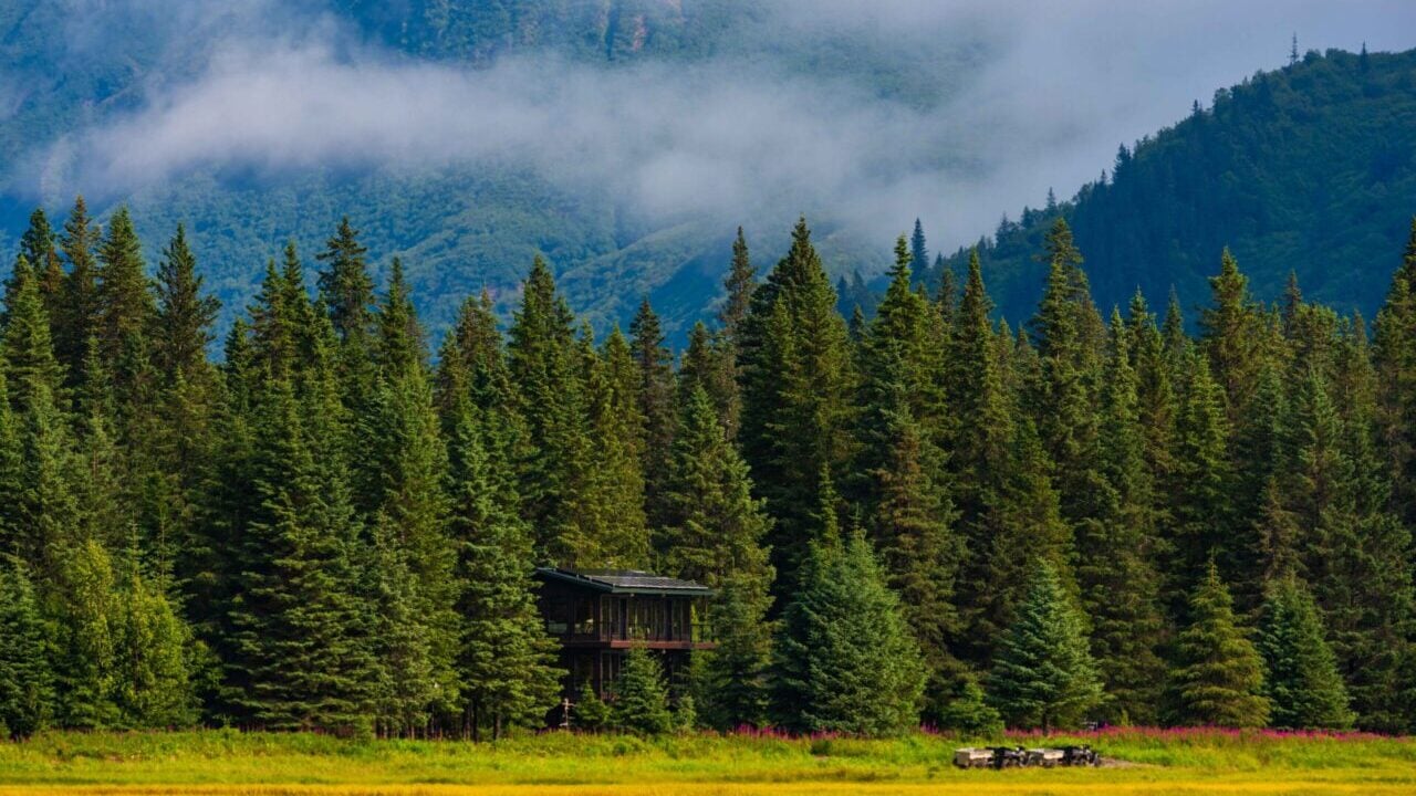 a lodge in alaska tucked inside trees