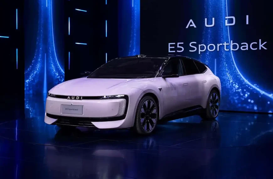 Audi Has a Problem With AUDIs Being Sold in Germany. Seriously