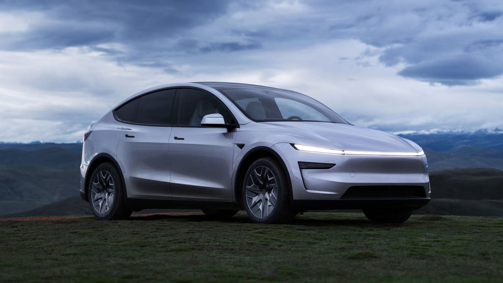 Model Y L