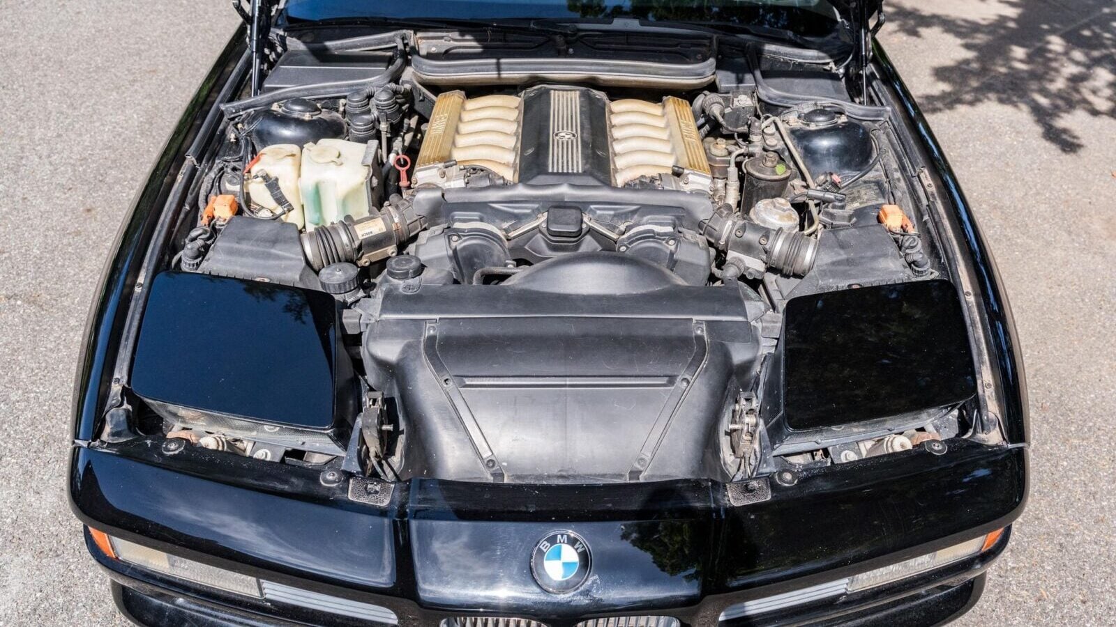 BMW850i1991073 e1789814900930