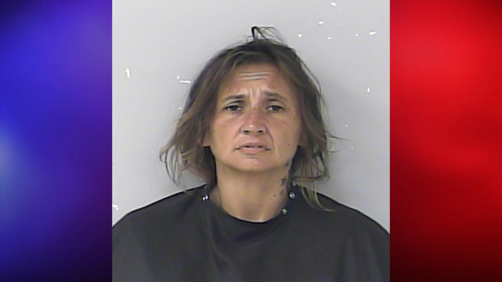 Florida Woman Steals Patrol Vehicle Before Deputies Find Her Wearing Sheriff’s Office Ballistic Vest, Police Say