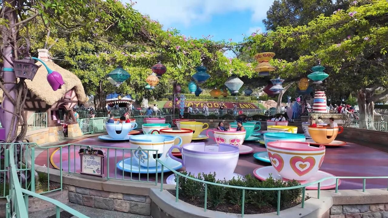 GH Disneyland Mad Tea Party Document Disney