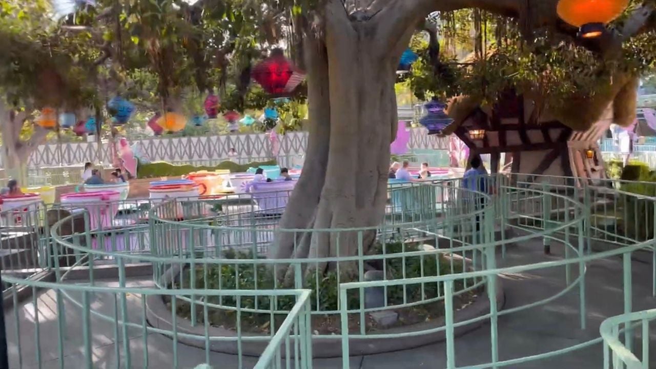 GH Disneyland Mad Tea Party Early Morning