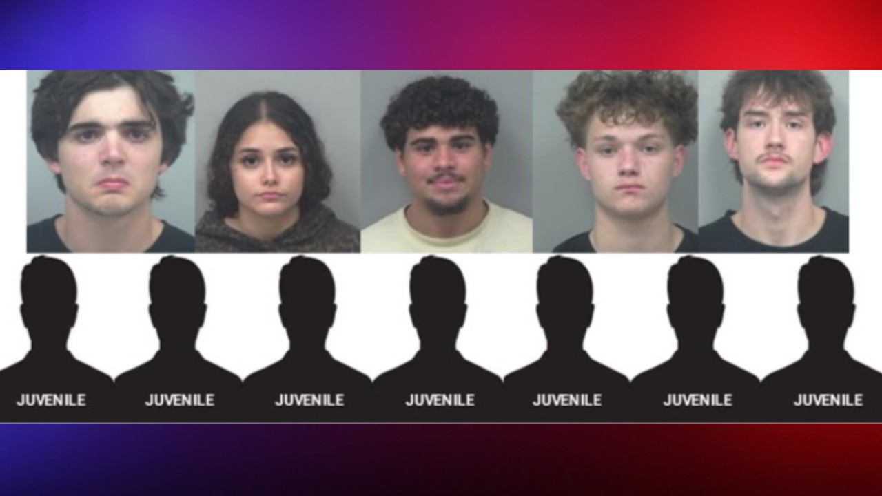 Tiktok arrests