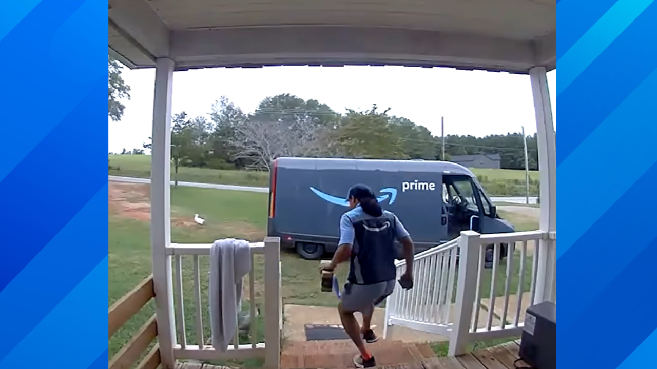 Amazon driver scared by rooster
