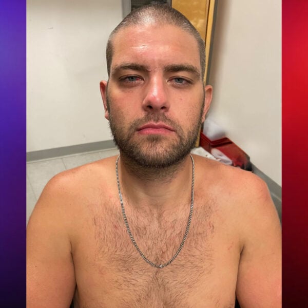 Pennsylvania Man Runs Through Shopping Plaza Claiming Rodents Were Attacking Him
