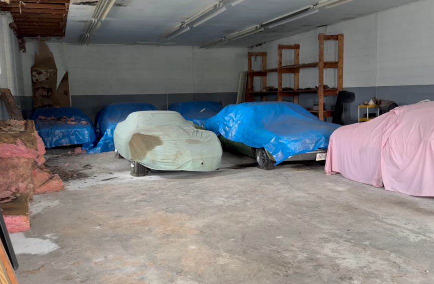 YouTuber Uncovers Abandoned Muscle Car Collection And Tries To Buy It All