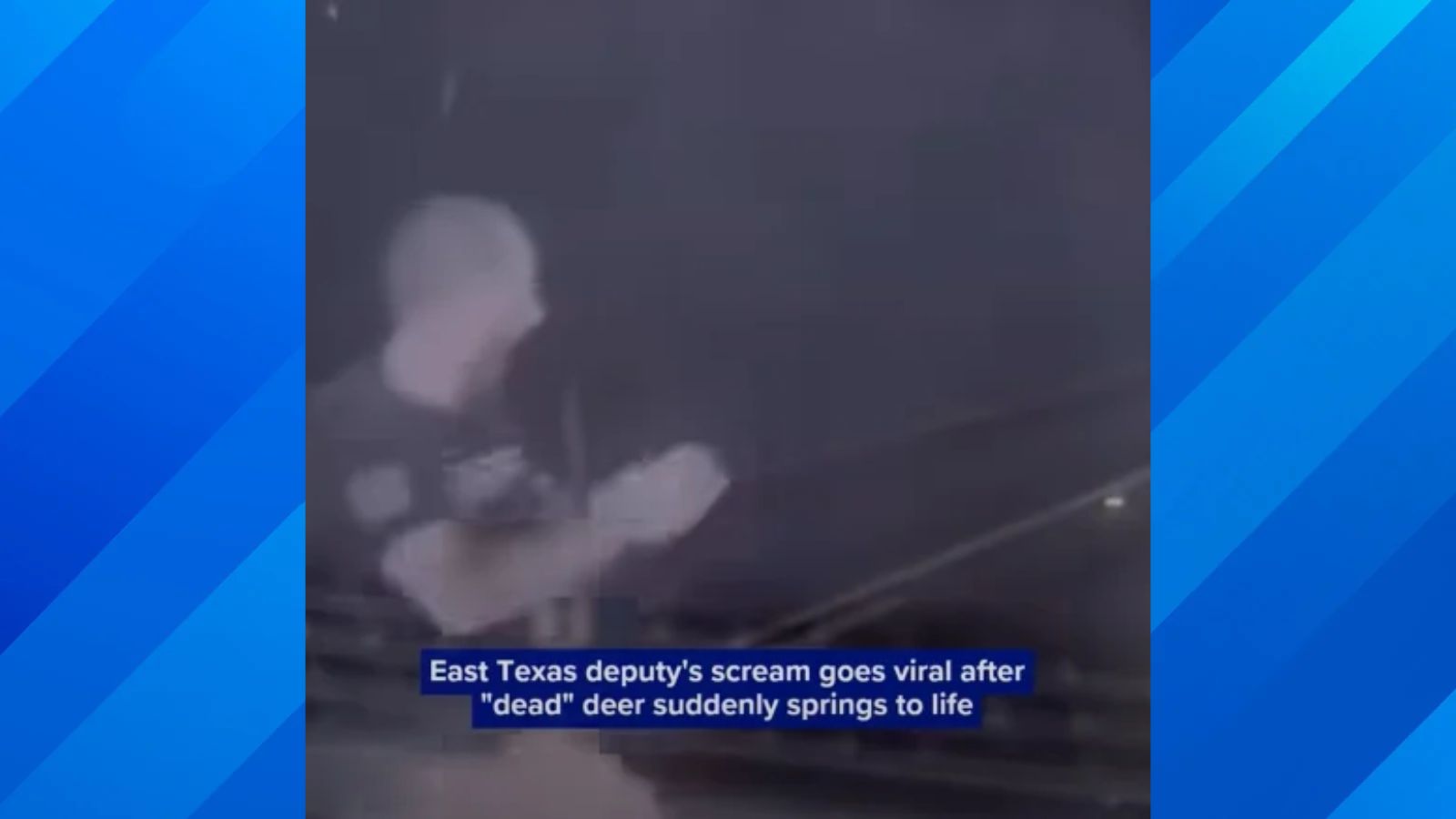 Texas Deputy Finds Out the ‘Dead’ Deer Is Very Much Alive