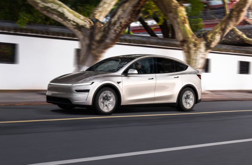 Model Y L