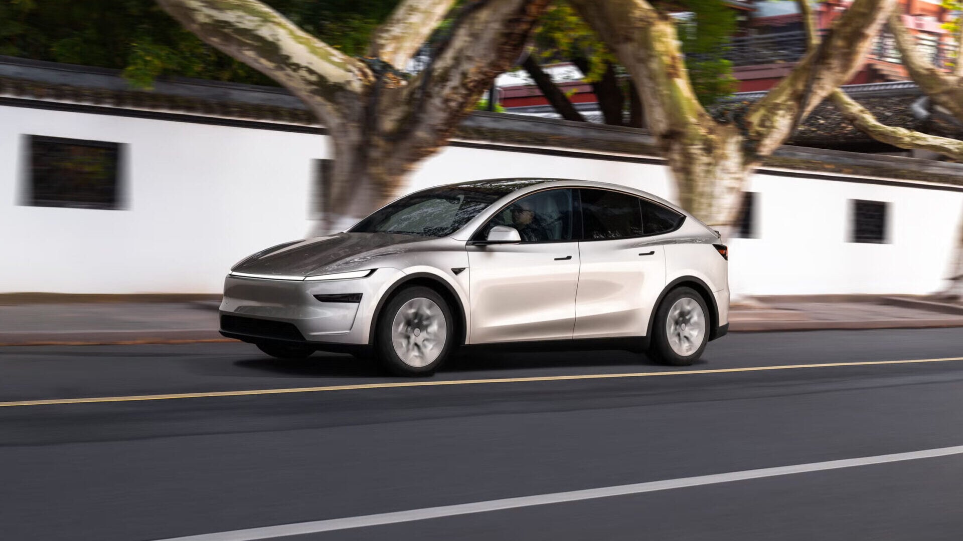Model Y L
