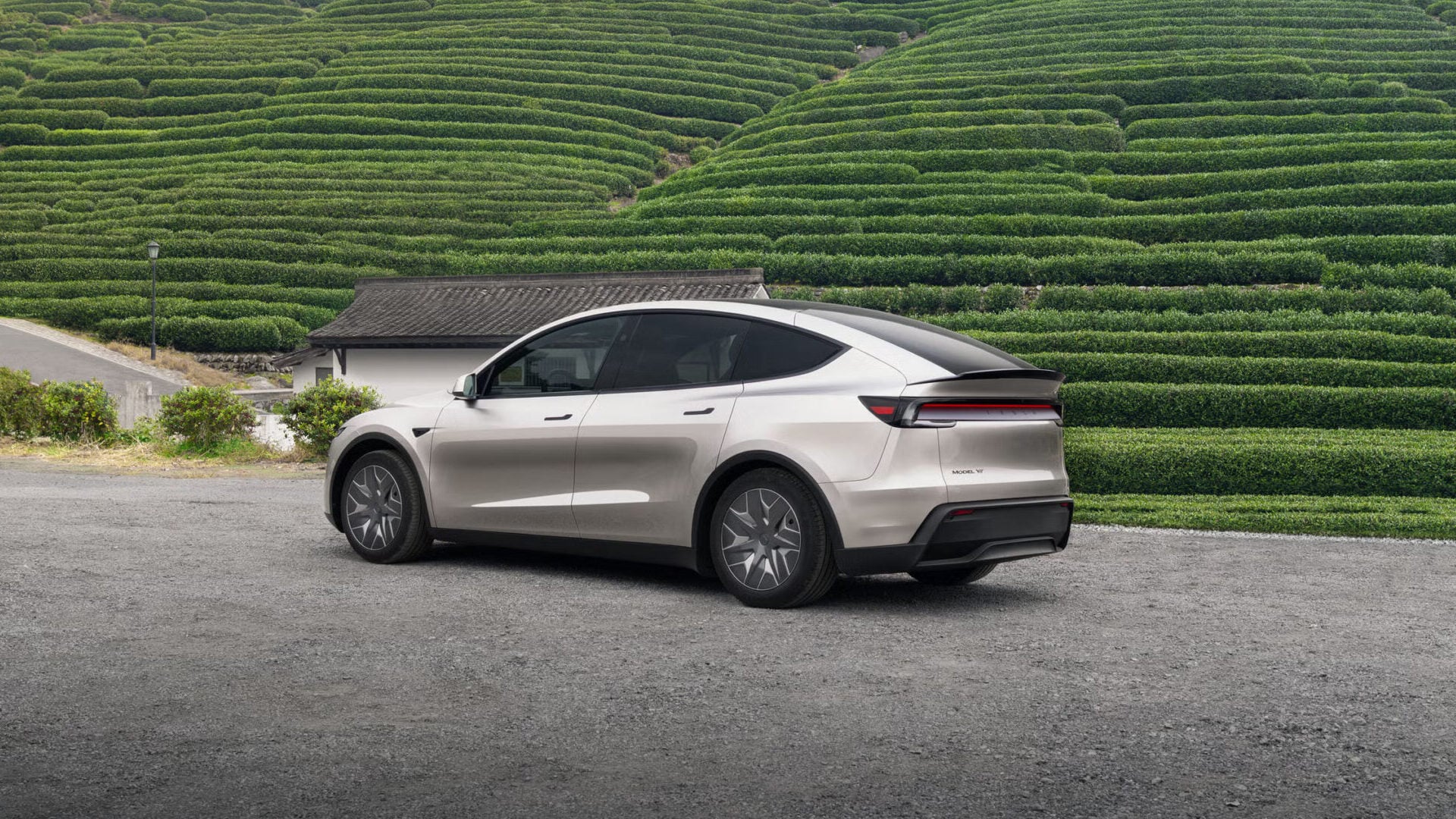 Model Y L