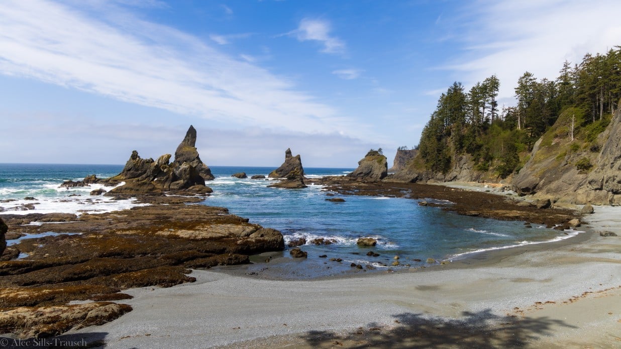 rocky coast line of olympic national park