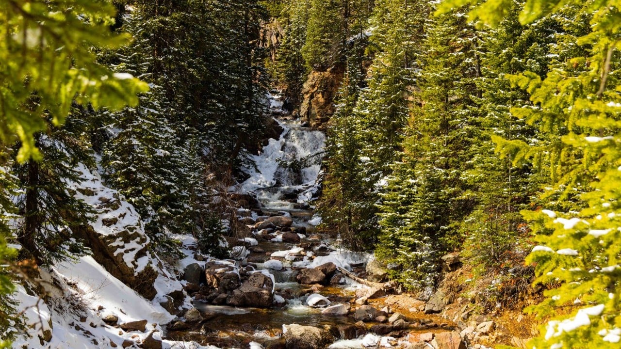 a waterfall with trees around it