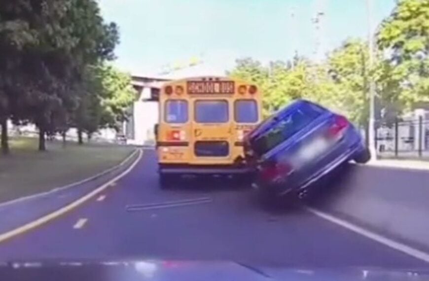 BMW Driver Loses His Patience Featured Image