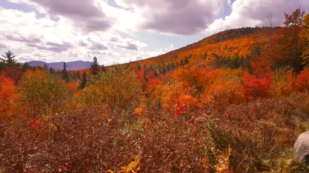 GH New England Fall Foliage
