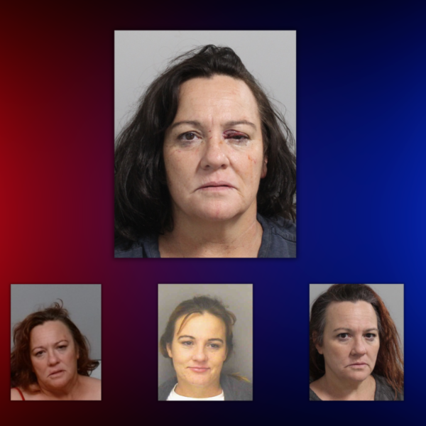Florida Woman Punches Deputy in Face, Bites Both Arms During Hit-and-Run Investigation, Sheriff Says