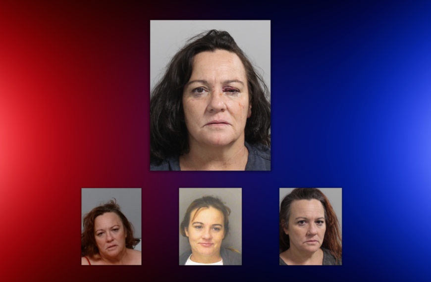 Florida Woman Punches Deputy in Face, Bites Both Arms During Hit-and-Run Investigation, Sheriff Says