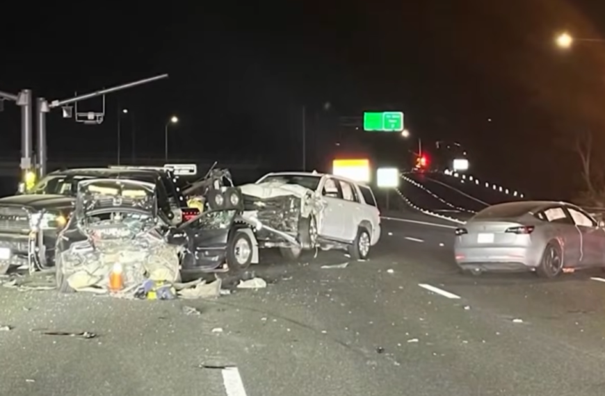 Tesla Driver Says Full Self-Driving Was Engaged When Car Fatally Struck Pedestrian on I-80