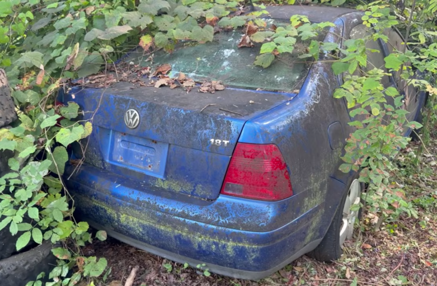 Grandpa Kept His Late Wife’s Jetta For 17 Years — Its Makeover Left Him In Tears