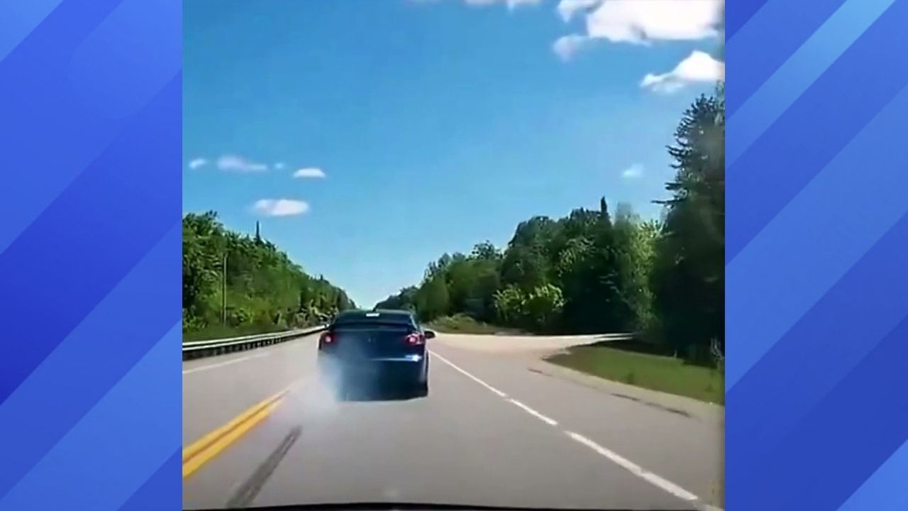 Sports Car brake checks itself into a tree