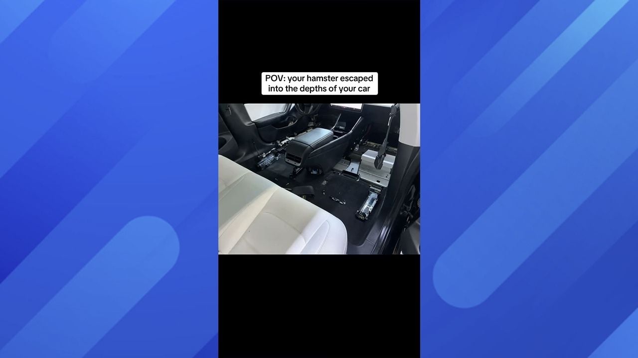 Tesla Interior Ripped Out For Hamster