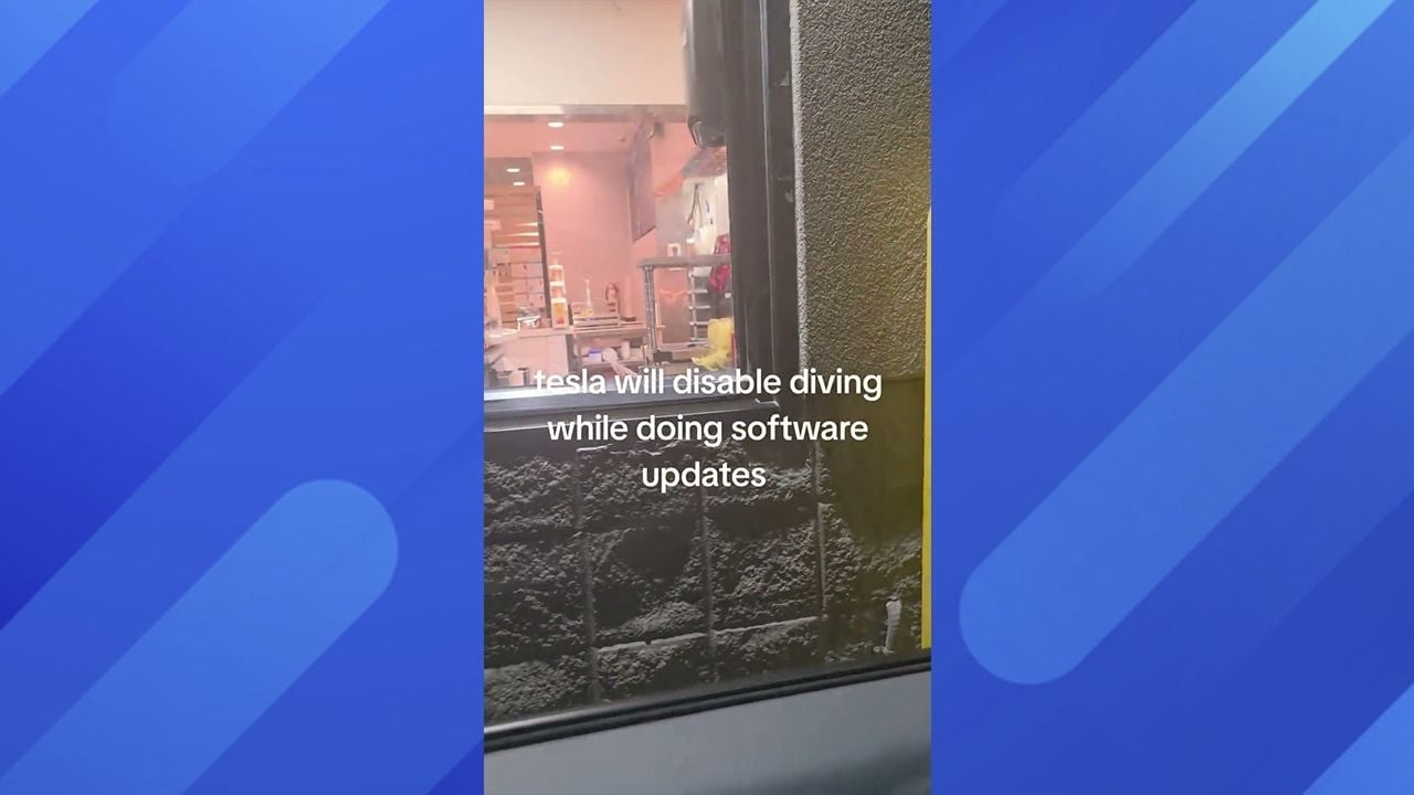 Tesla Software Update McDonald's