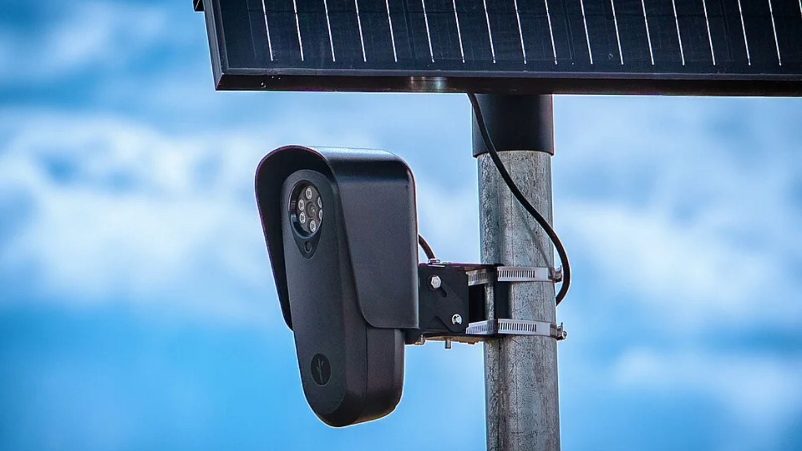 Virginia Police Employee Accused of Misusing License Plate Reader System Gets Flagged by Her Own Coworkers