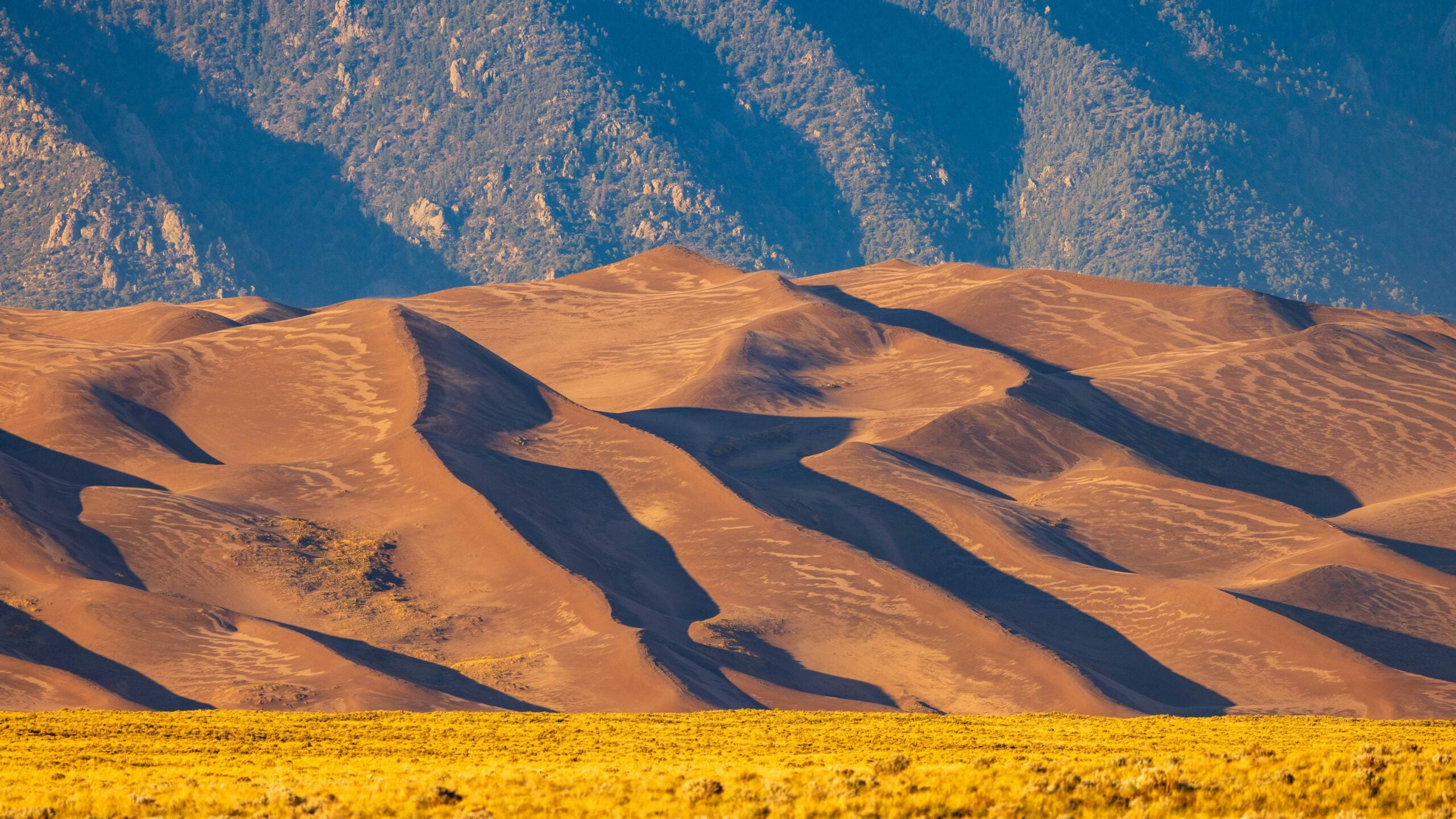 sand dunes in colroado
