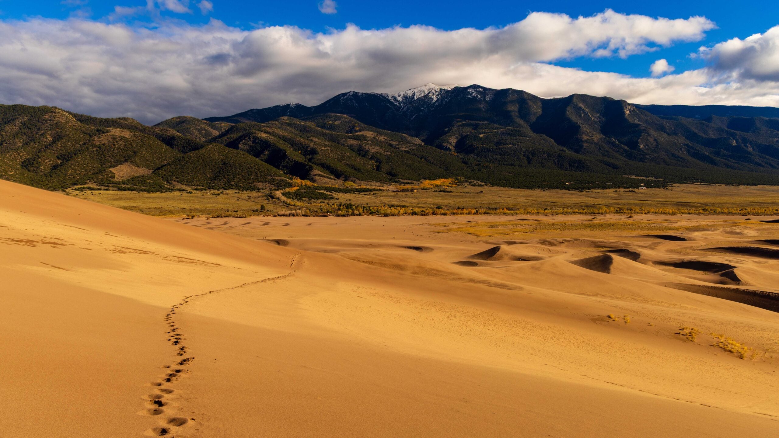 foot steps on the sand dunes in colorado