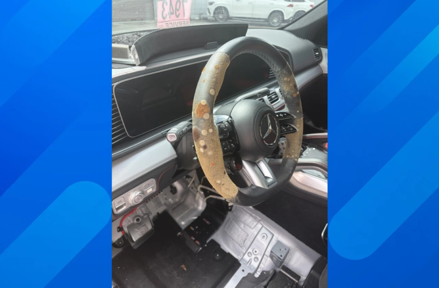 Mercedes-Benz GLE Owner Finds Mold Growing Inside After Dealership Leaves It Outside