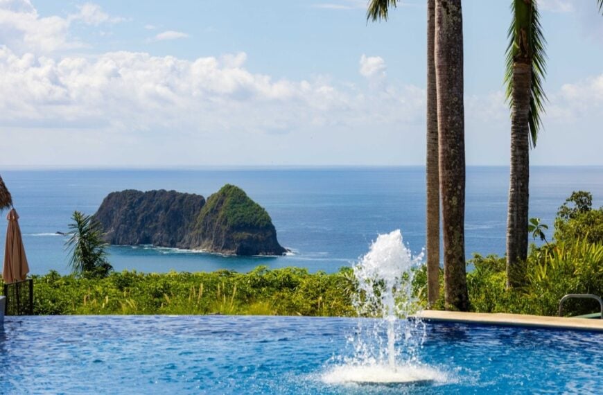 pool and ocean view with palm trees