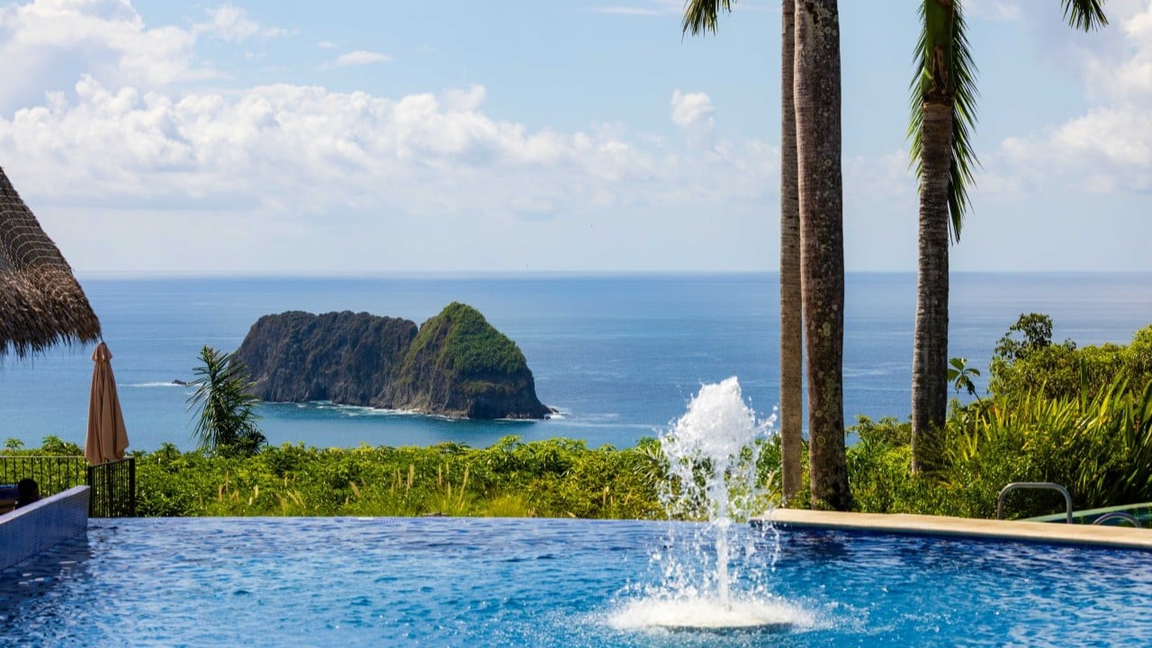 pool and ocean view with palm trees