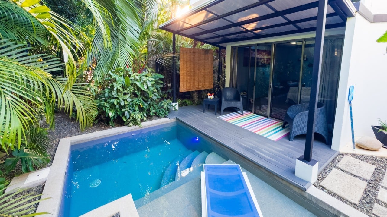 a backyard with a pool and plants